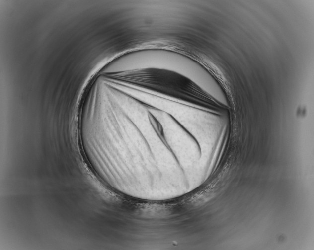 X0000099450800200806061104