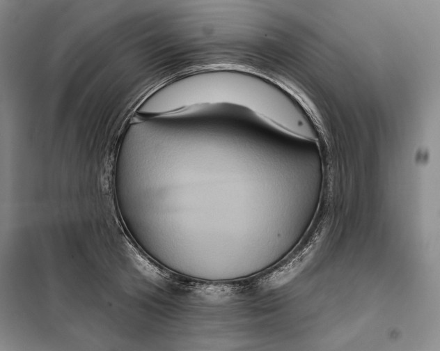 X0000099450801200806061104