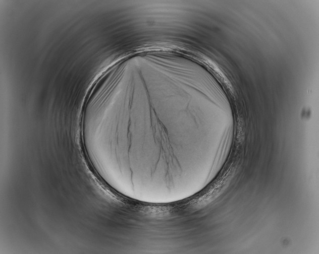 X0000099450802200806061104