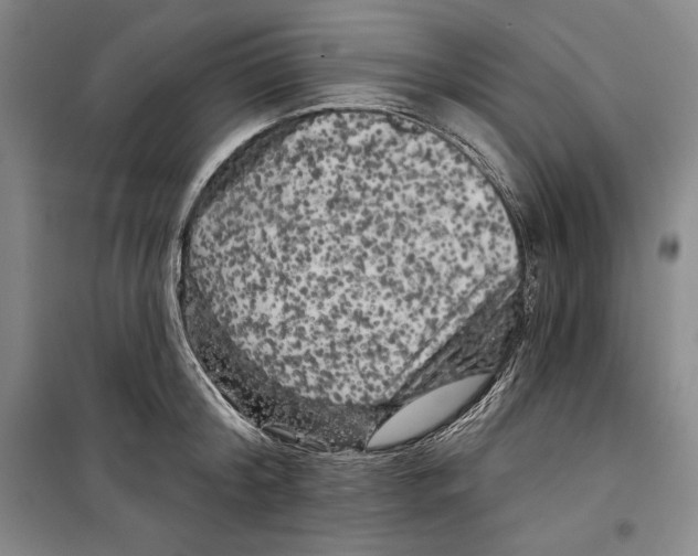 X0000099450804200806061104