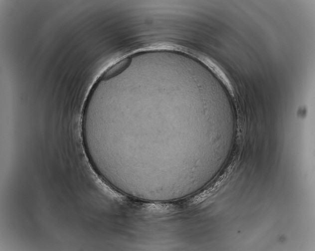 X0000099450805200806061104