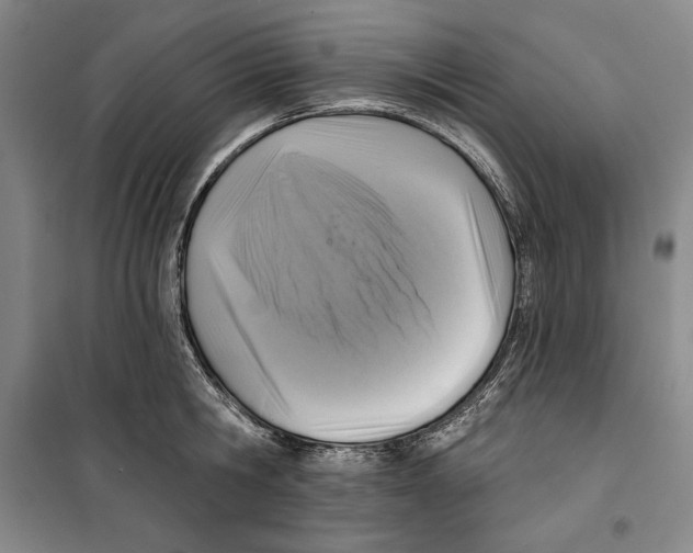 X0000099450806200806061104