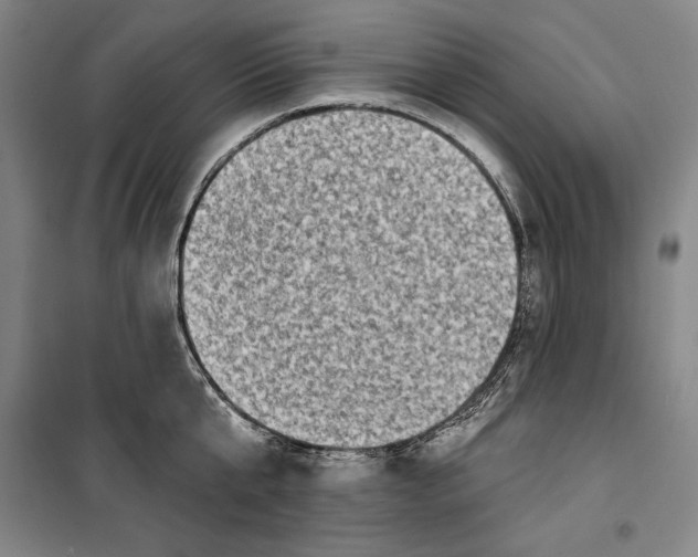 X0000099450807200806061104