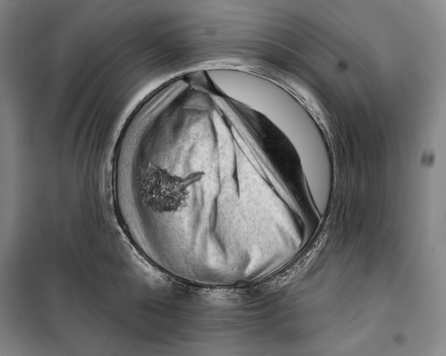 X0000099450808200806061104