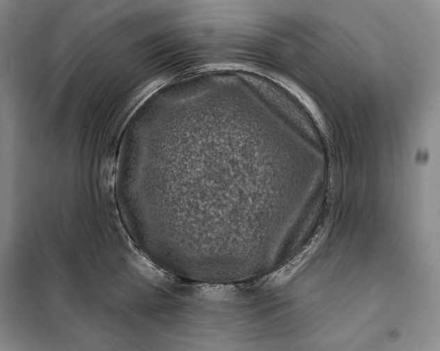 X0000099450809200806061104