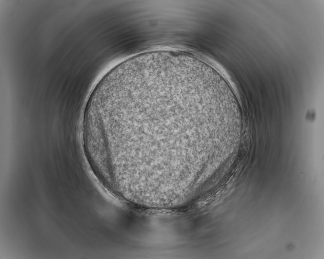 X0000099450811200806061104