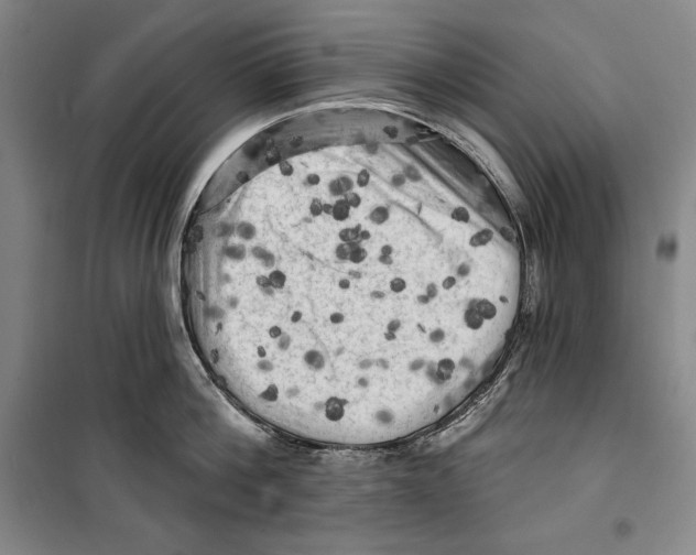 X0000099450812200806061104