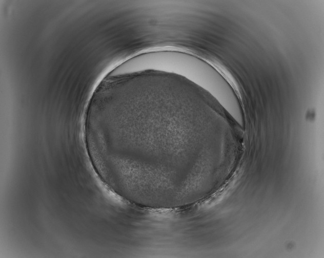 X0000099450813200806061104