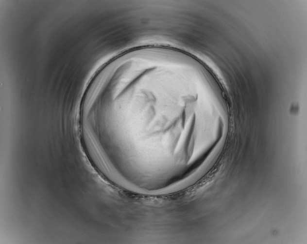 X0000099450815200806061104