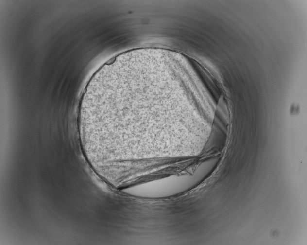 X0000099450816200806061104