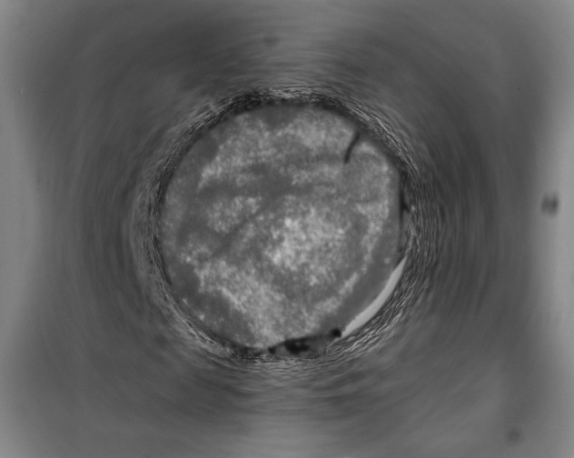 X0000099450817200806061103