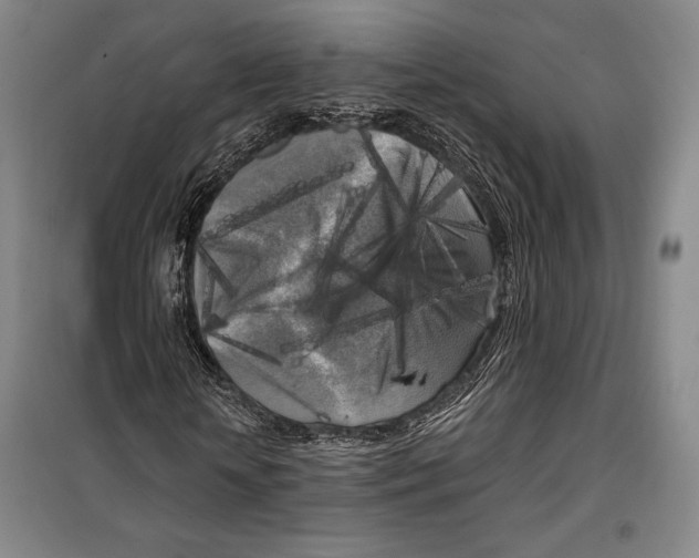 X0000099450818200806061103