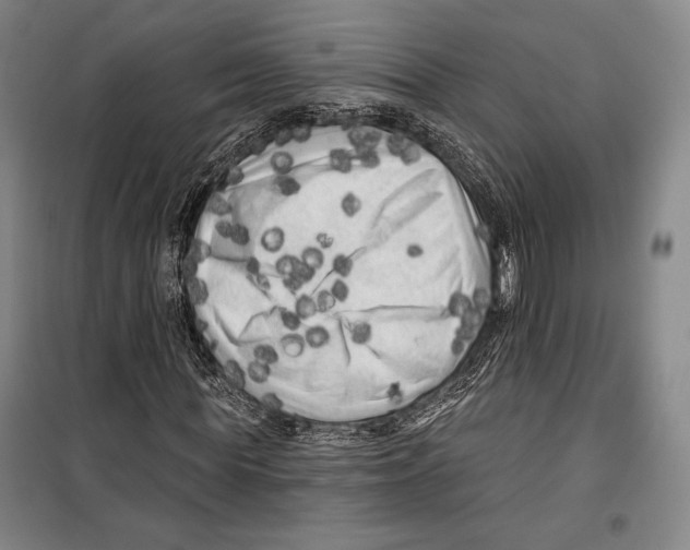 X0000099450819200806061103