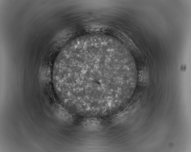 X0000099450820200806061103