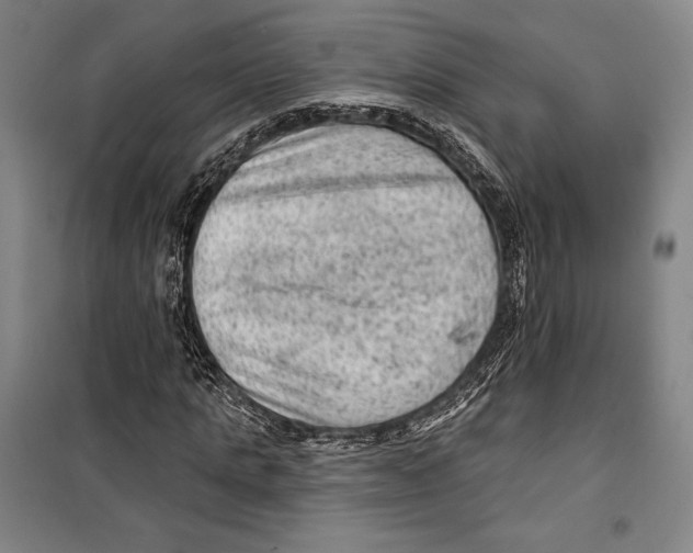 X0000099450821200806061103