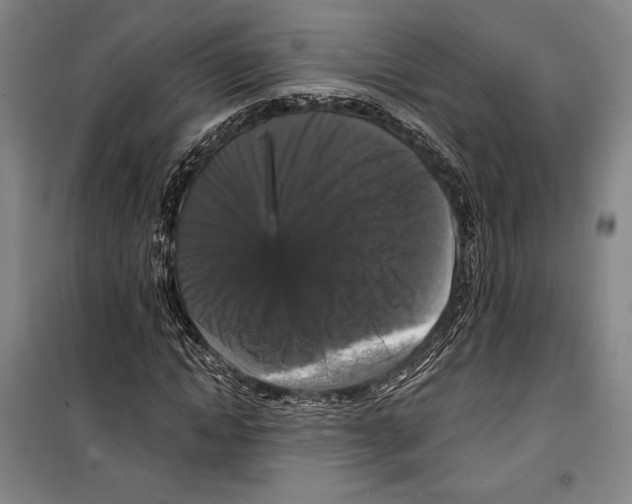 X0000099450822200806061103