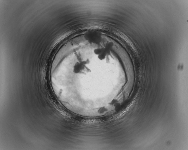 X0000099450826200806061103