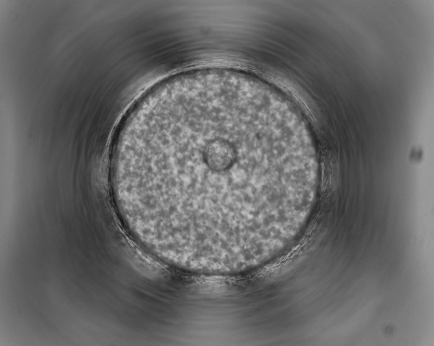 X0000099450828200806061103