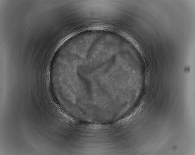 X0000099450829200806061103