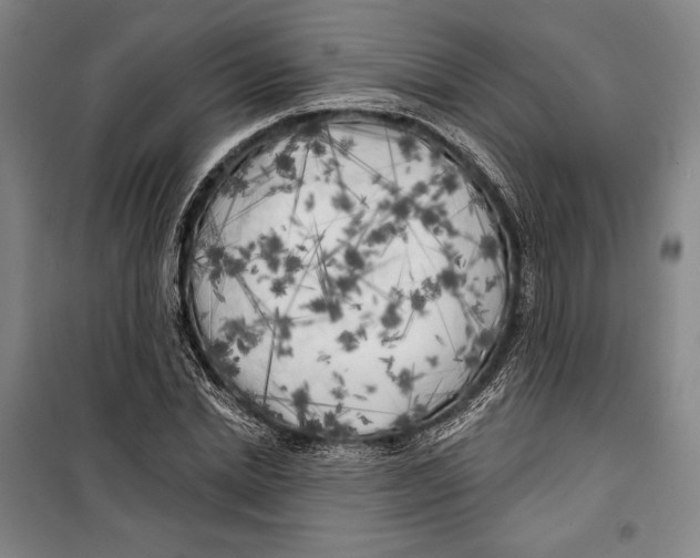 X0000099450830200806061104