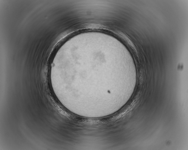 X0000099450831200806061104