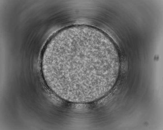 X0000099450832200806061104