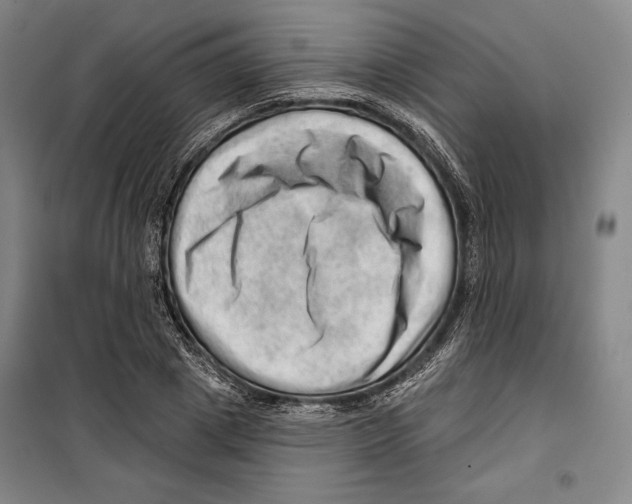 X0000099450833200806061104