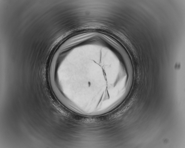 X0000099450834200806061104