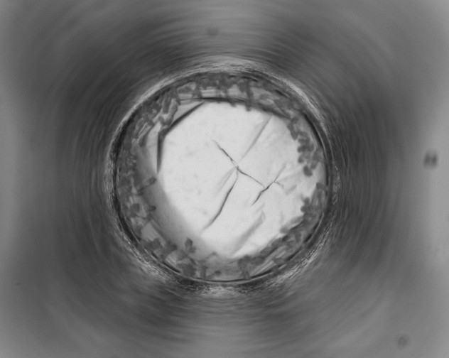 X0000099450835200806061104