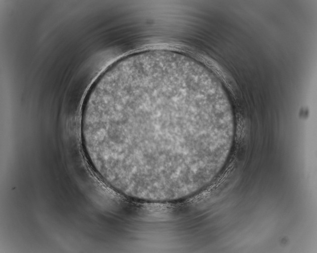 X0000099450836200806061104