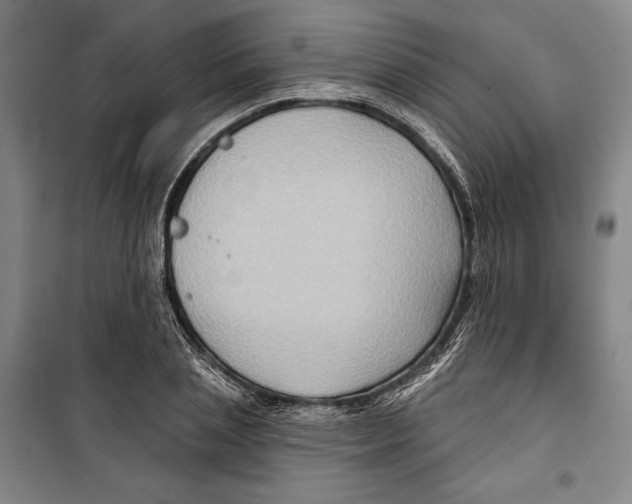 X0000099450837200806061104