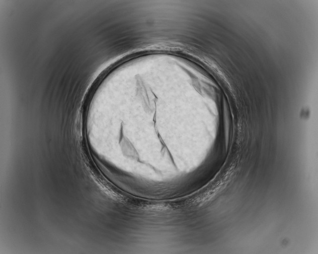 X0000099450838200806061104