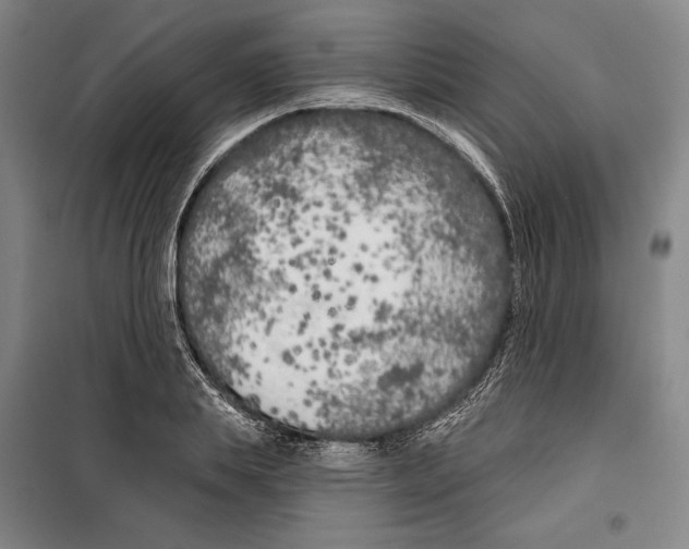 X0000099450839200806061104