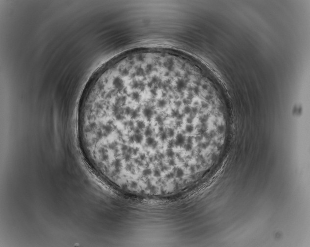 X0000099450840200806061104