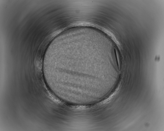 X0000099450841200806061104