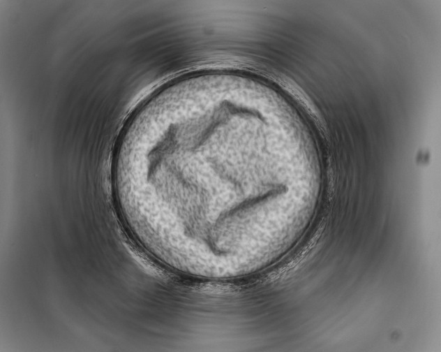 X0000099450842200806061104