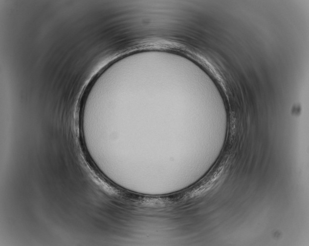 X0000099450843200806061104