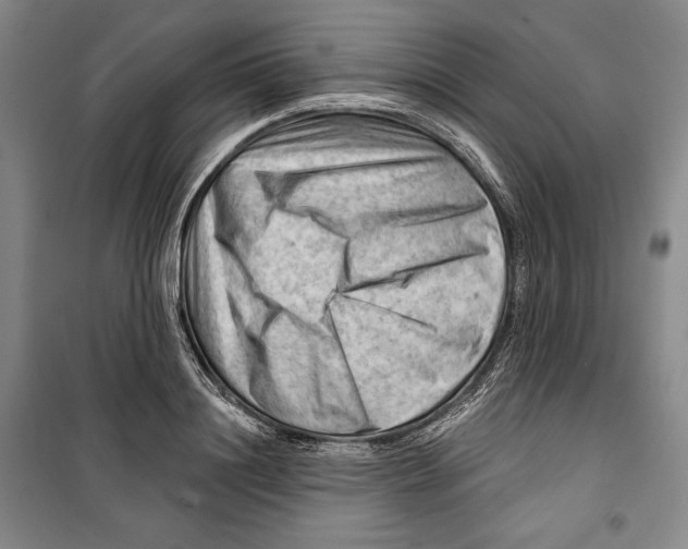 X0000099450844200806061104