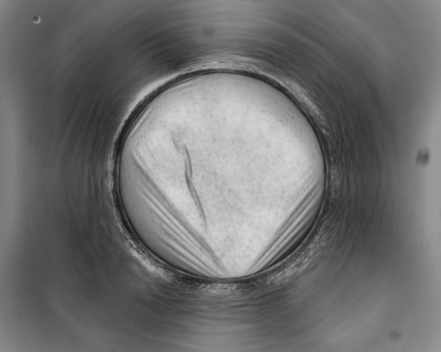 X0000099450846200806061104