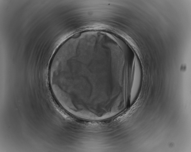 X0000099450850200806061104