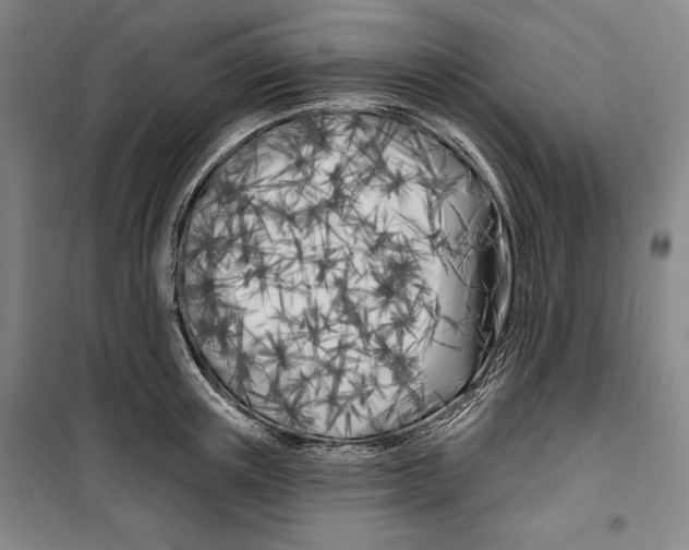 X0000099450851200806061104