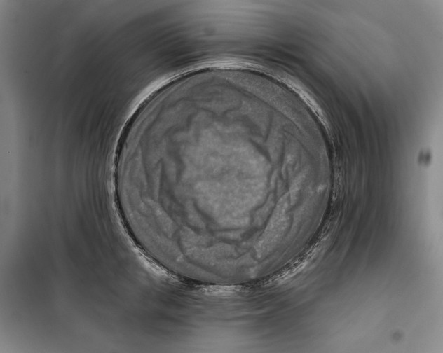 X0000099450853200806061104