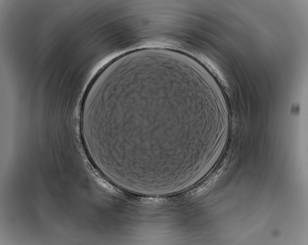 X0000099450854200806061104