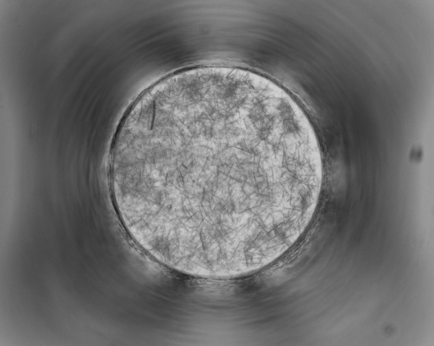 X0000099450856200806061104