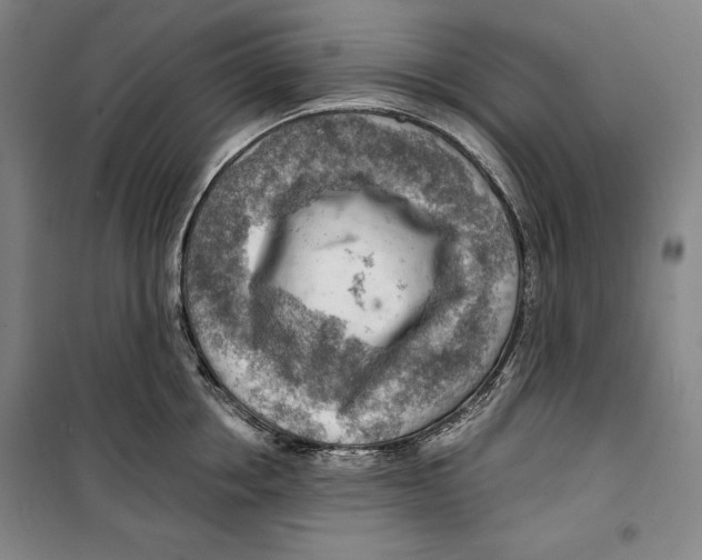 X0000099450858200806061104