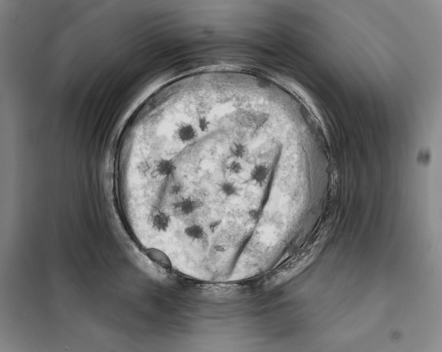 X0000099450859200806061104