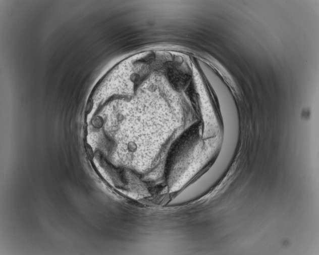 X0000099450860200806061104