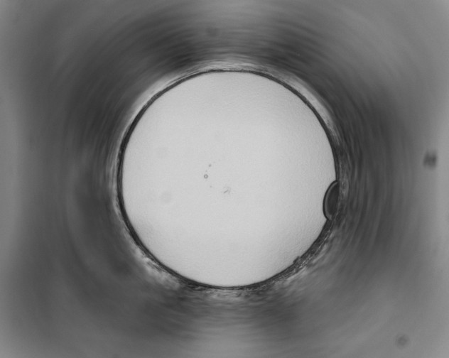 X0000099450861200806061104