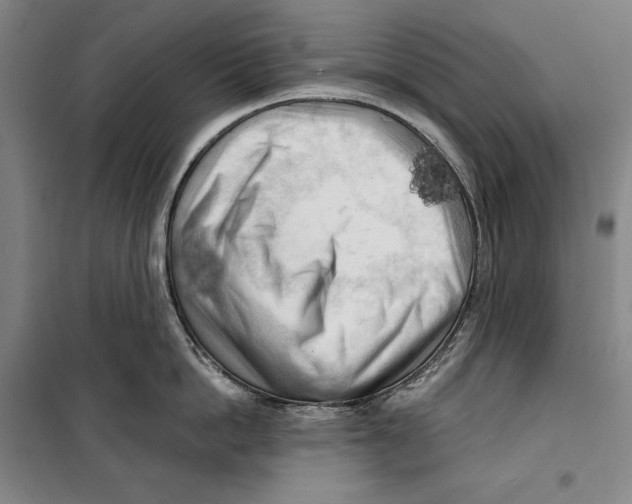 X0000099450862200806061104