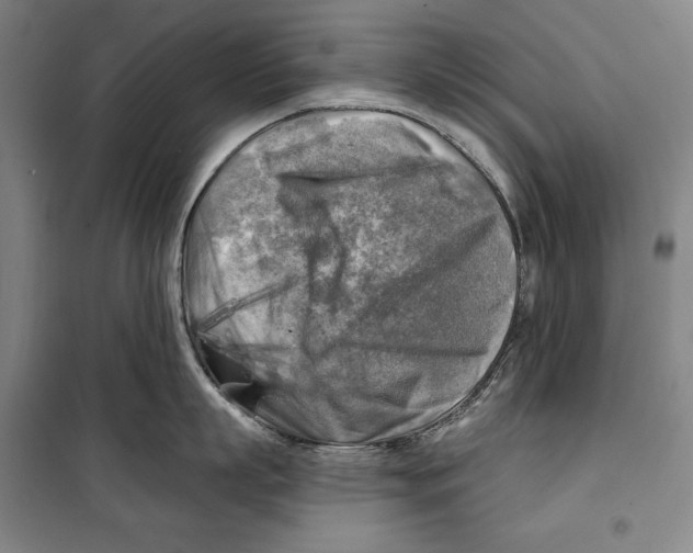 X0000099450863200806061104